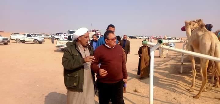 المحاسب مبروك الغمريني رئيس مدينة طور سيناء يشهد ختام فعاليات سباق الهجن