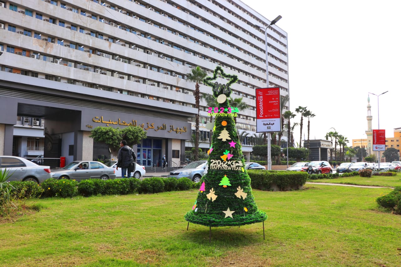 نظافة القاهرة تنشر أشجار الكريسماس بالشوارع