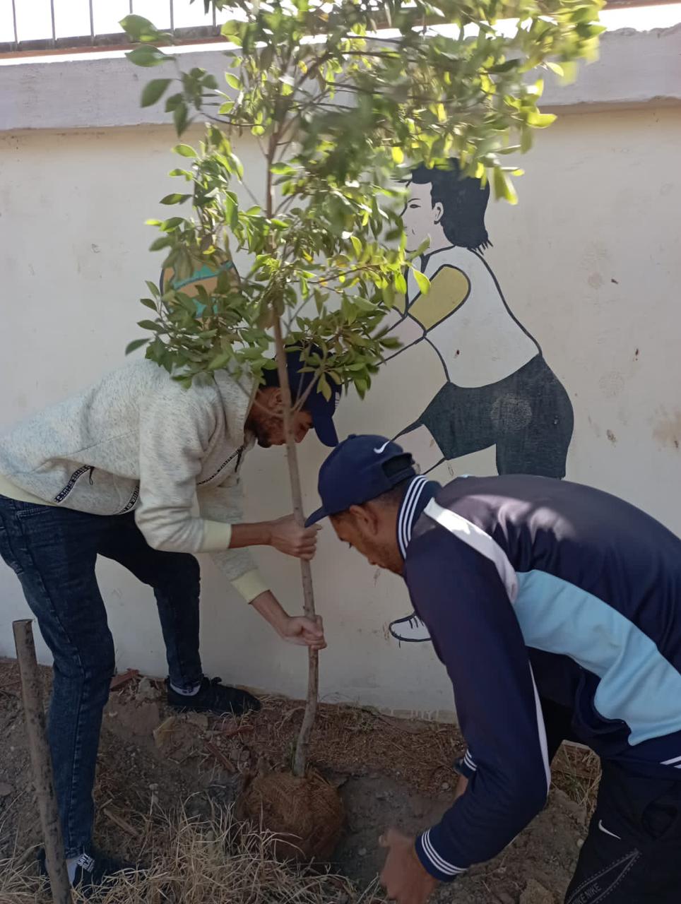 مشروع زراعة 1000 شجرة بمراكز الشباب