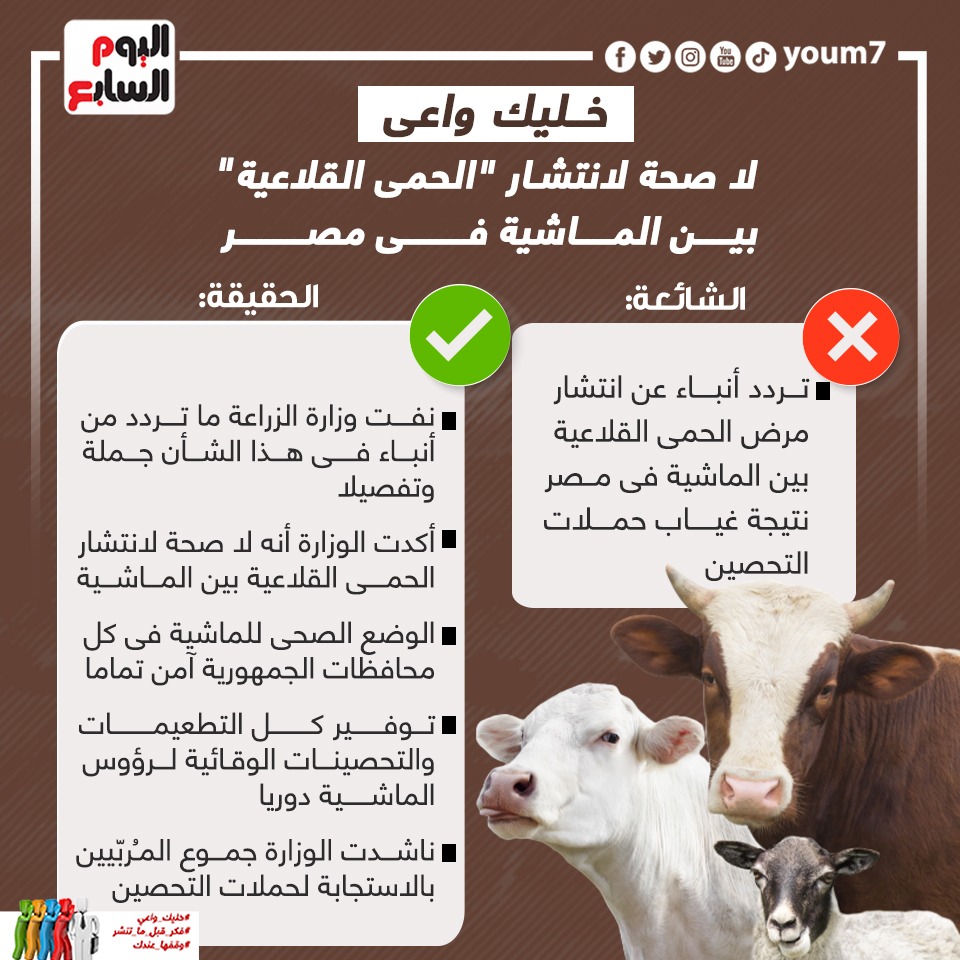 لا صحة لانتشار الحمى القلاعية بين الماشية فى مصر