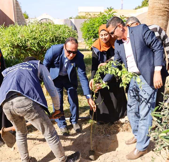 جنوب سيناء تبدأزراعة الاشجار (1)