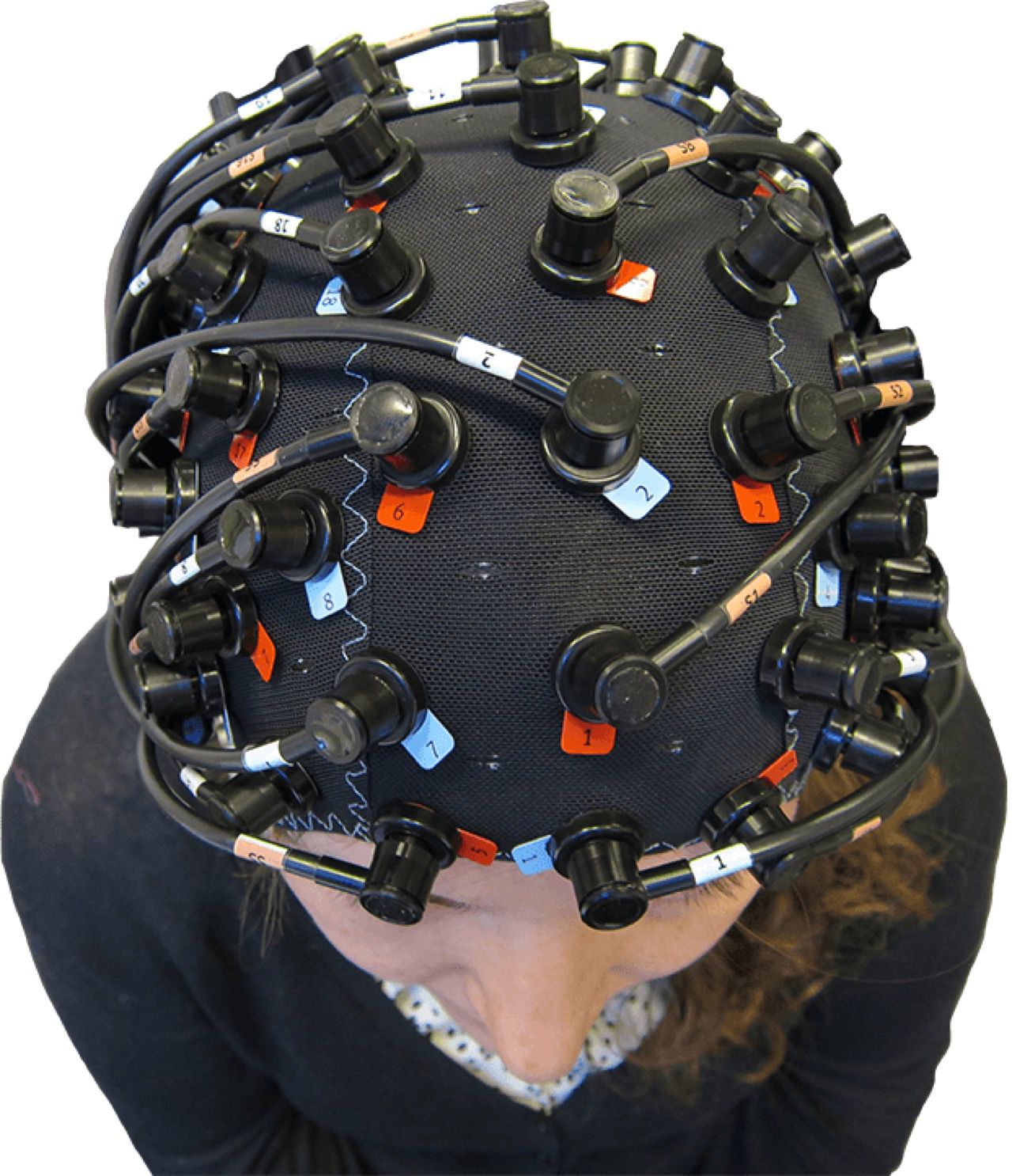 Brain support. Экзокортекс. Оборудование FNIRS. • Functional near-Infrared Spectroscopy (FNIRS). Экзоко́ртекс —2023.