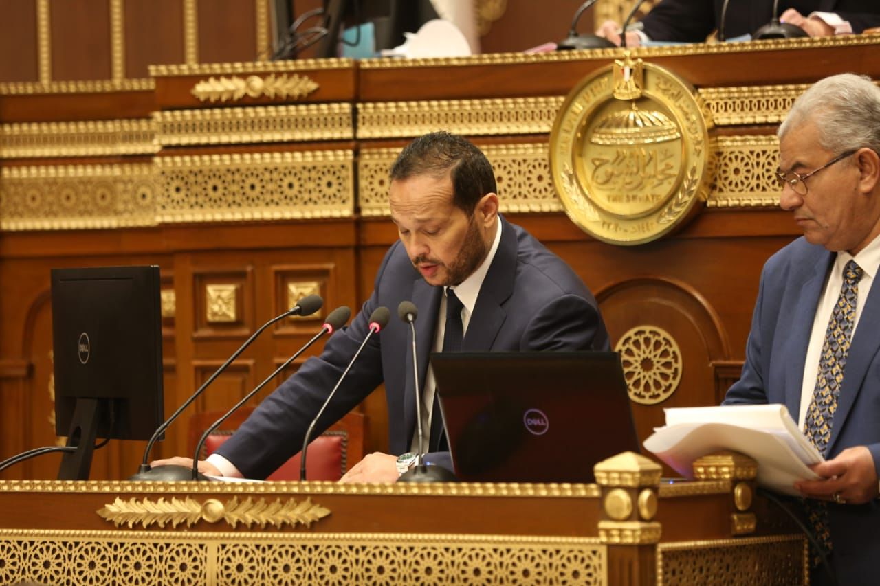 محمد حلاوة في الجلسة العامة لمجلس الشيوخ (3)
