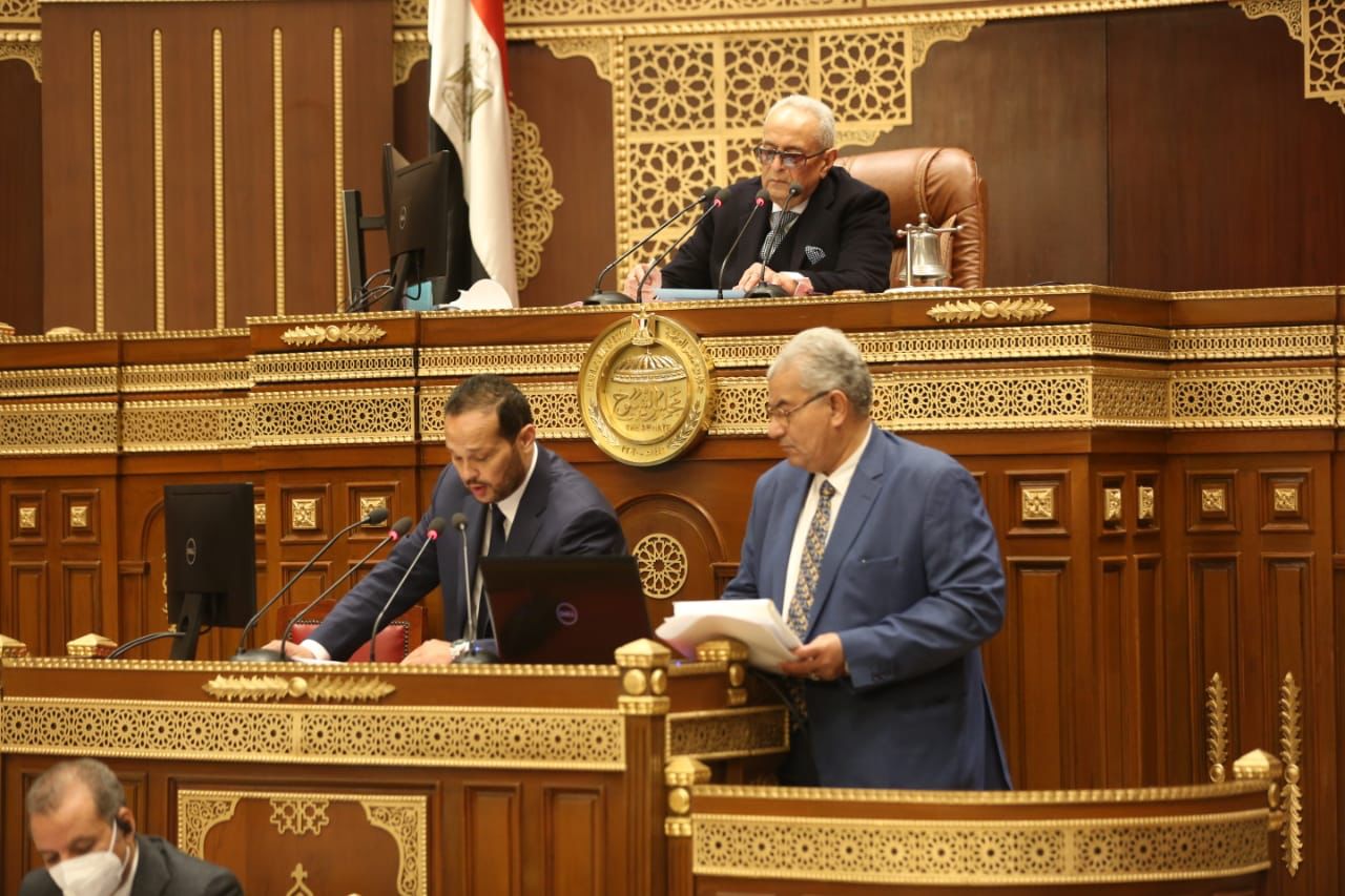 محمد حلاوة في الجلسة العامة لمجلس الشيوخ (2)