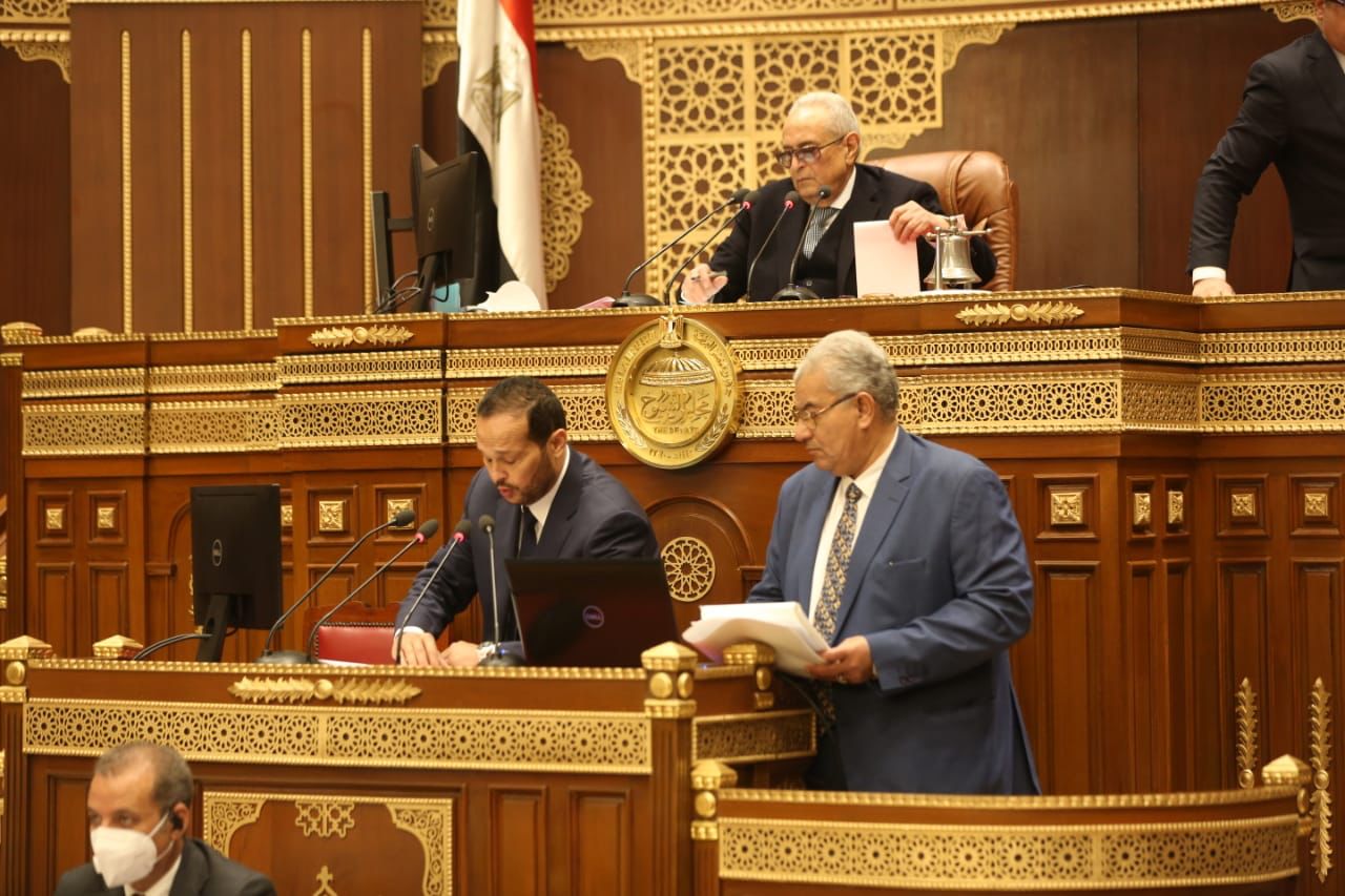 محمد حلاوة في الجلسة العامة لمجلس الشيوخ (1)
