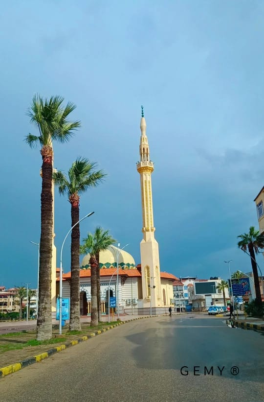 صور فوتوغرافية لمدينة  راس البر  (1)