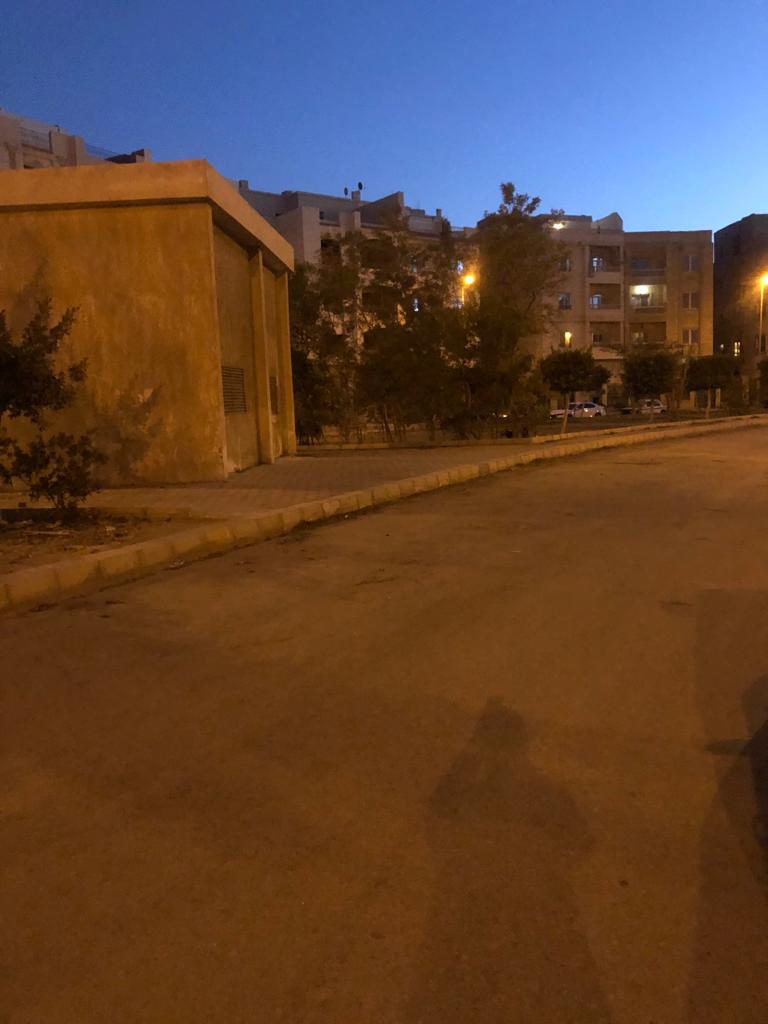 الاستجابة الاستجابة