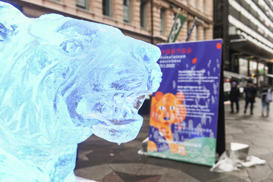النمر الثلجي فى شوارع فنلندا