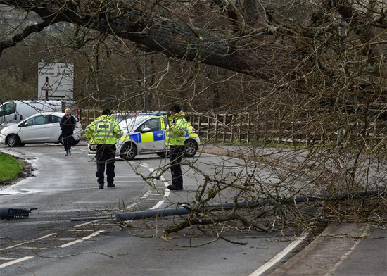 شجرة سقطت تسد طريقا في تينبي  بريطانيا