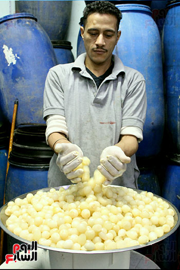 صناعة البصل