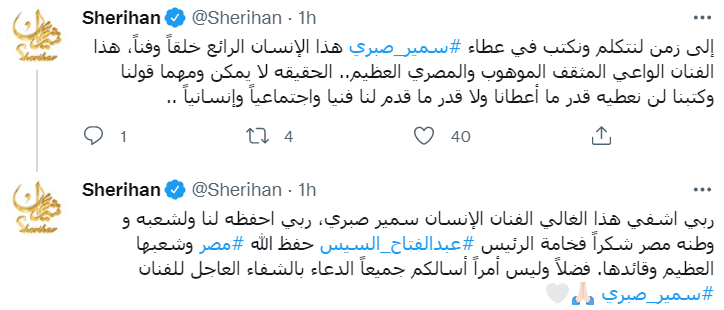 الفنانة شريهان