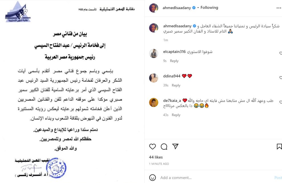 أحمد السعدنى