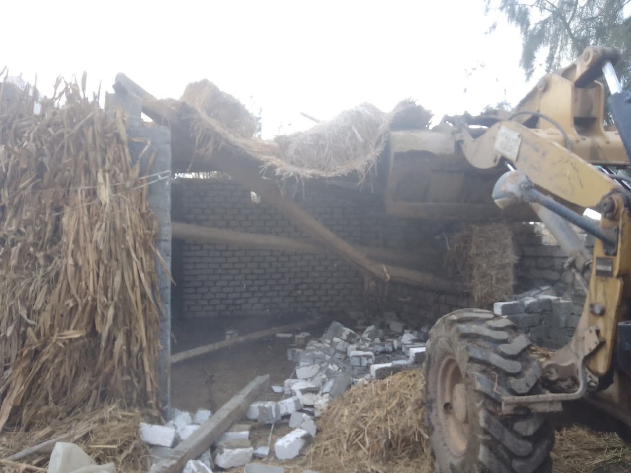 حملة إزالة  (3) - Copy