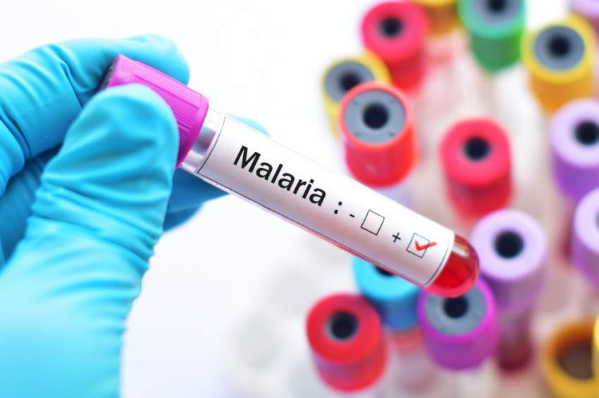 لقاحات وادوية الملاريا