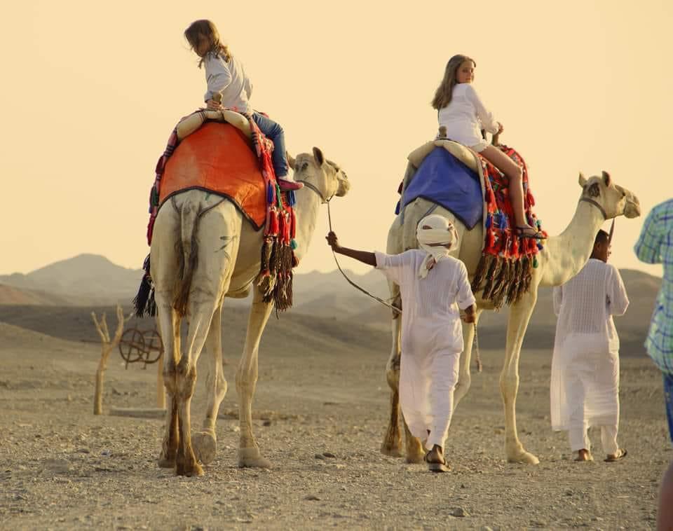 ركوب الجمال بالصحراء الشرقية 