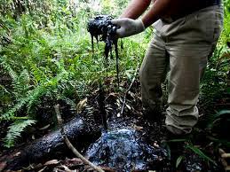 النفط فى الامازون الاكوادورية