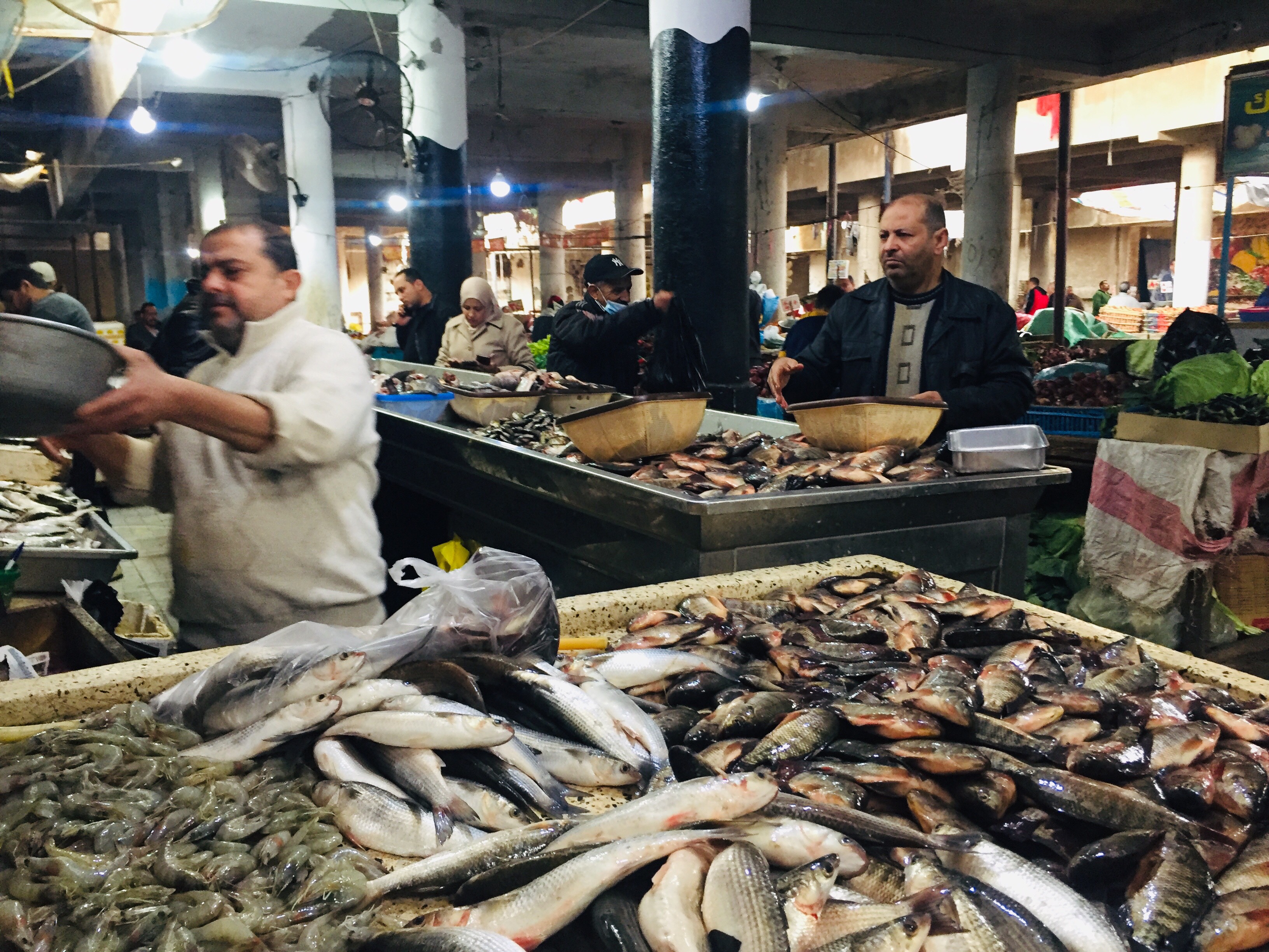 أسواق السمك بالإسماعليلية (6)