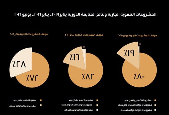 المشروعات التنموية