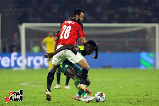 مصر والسنغال  (16)