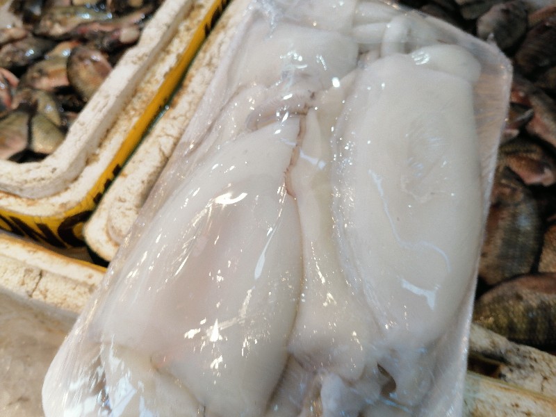 السيبيا بعد تنظيفها_1