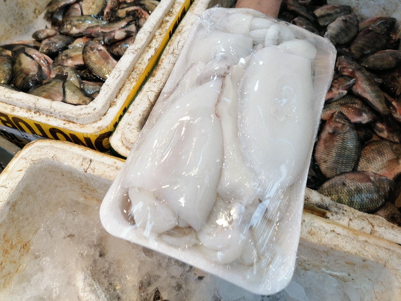 السيبيا قبل التسوية