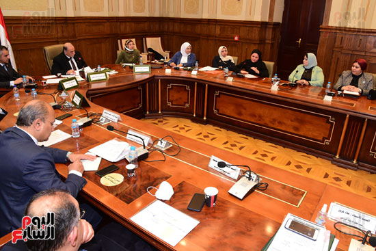 لجنة التضامن الاجتماعى والأسرة بمجلس النواب (4)