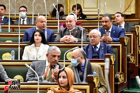 اجتماع مجلس النواب (7)
