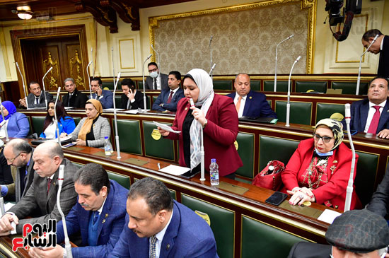 اجتماع مجلس النواب (2)