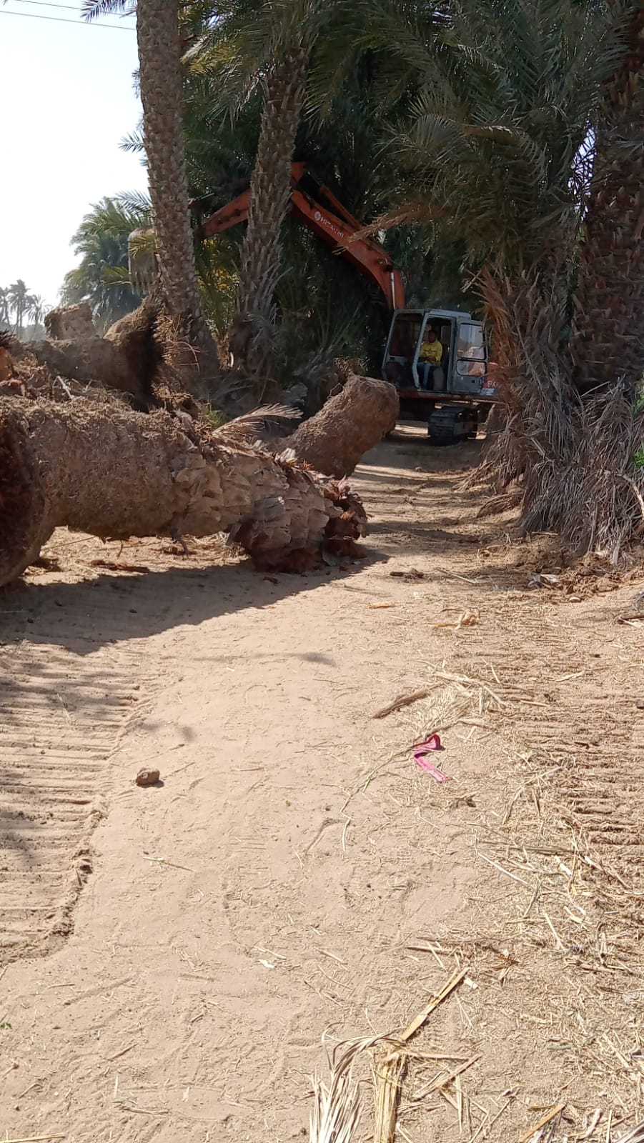 جانب من إزالة التعديات (1)