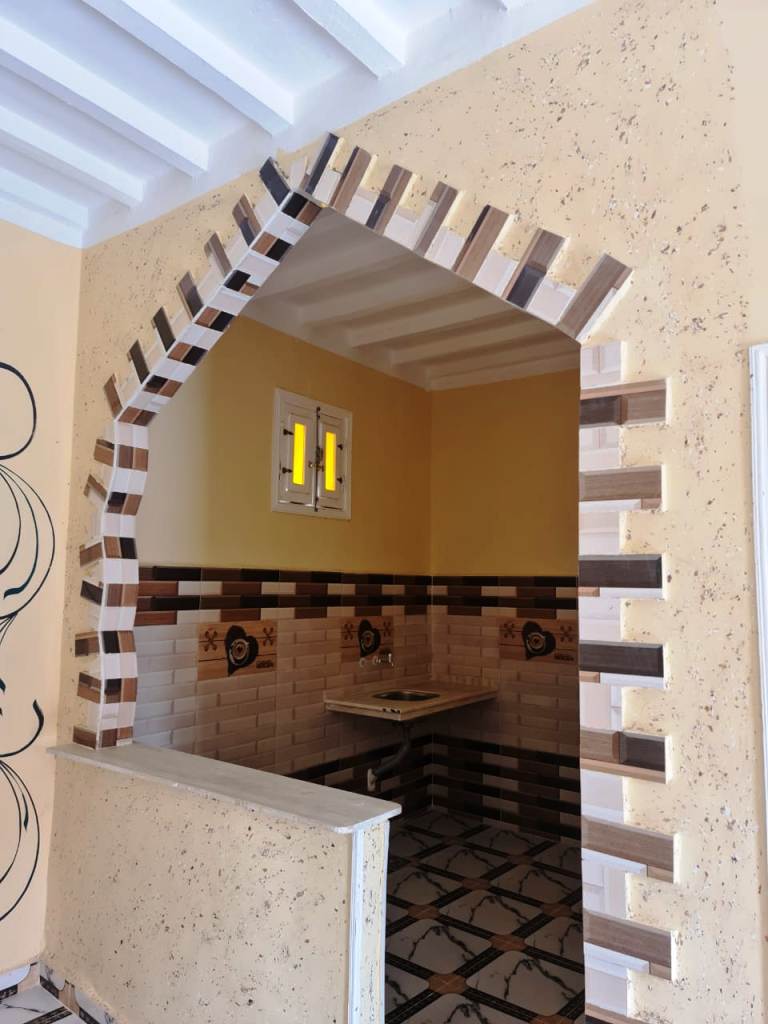 محافظ أسوان تسليم 30 منزلا بخور عواضة (6)