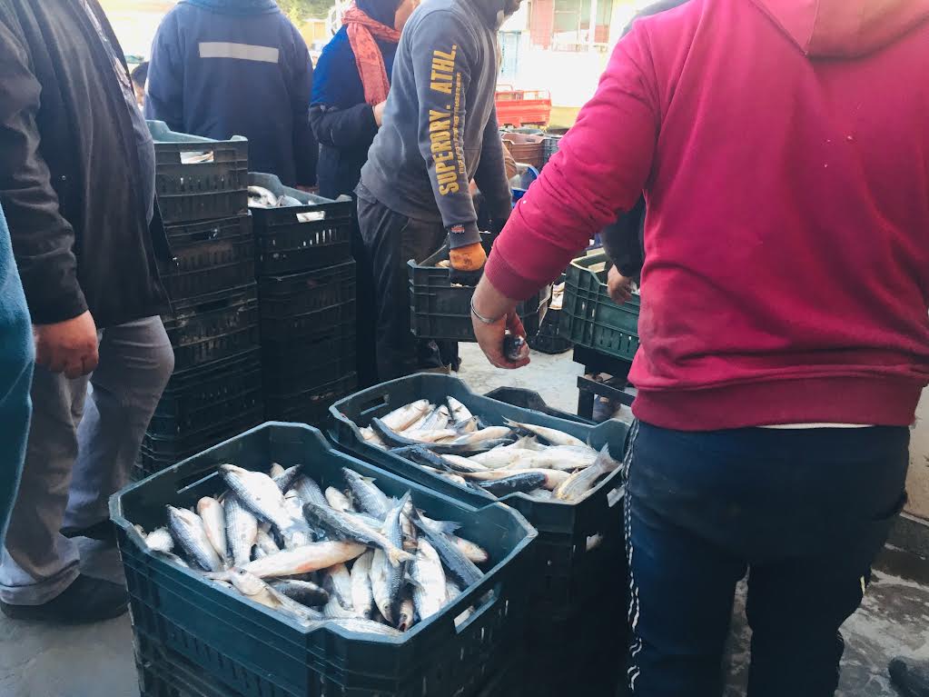 سوق الأسماك بالإسماعيلية