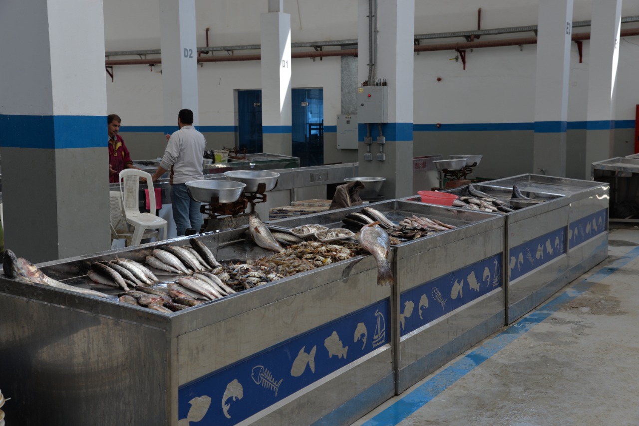 محافظ الإسماعيلية يتفقد  سوق السمك القديم   (3)