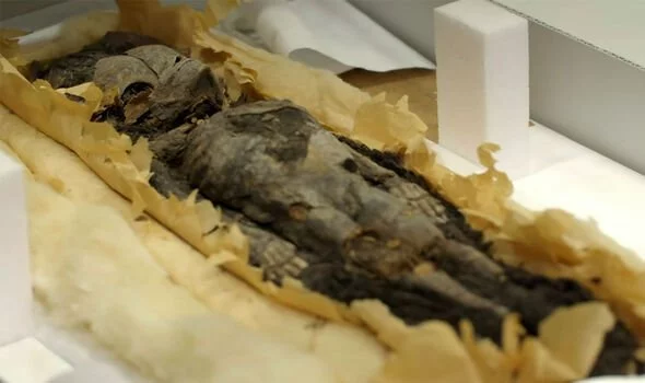 Mummification-Their-remains-were-tiny-the-girls-were-both-stillborn-3954867