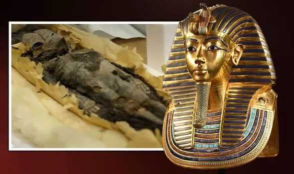 Ancient-Egypt-The-mummified-remains-were-likely-the-daughters-of-Tutankhamun-1576980