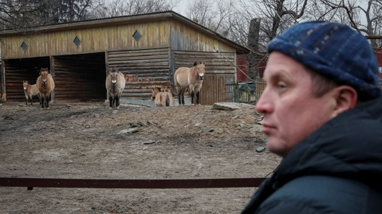 حديقة حيوان كييف بعد القصف