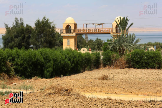 قرية تونس بالفيوم