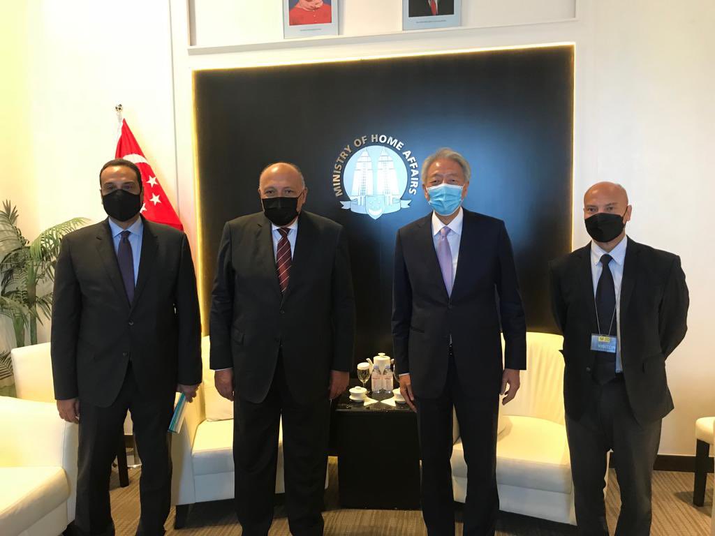 وزير الخارجية سامح شكري يلتقي كبير الوزراء السنغافوري