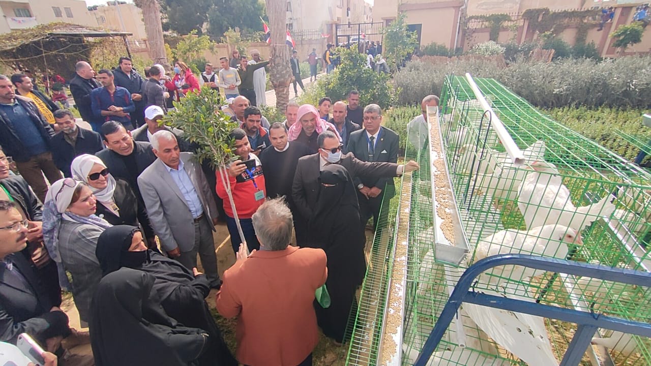 بدء توزيع شتلات زيتون ولوز ودواجن وأغنام على مزارعين بالشيخ زويد بشمال سيناء (2)