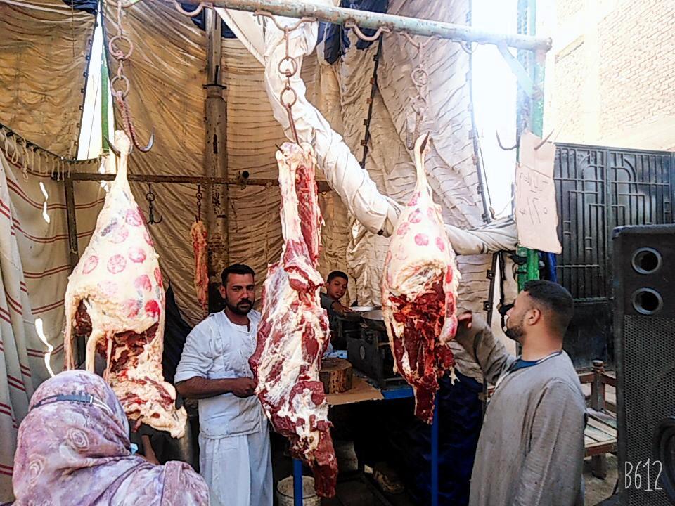 شادر اللحوم داخل معرض اهلا رمضان