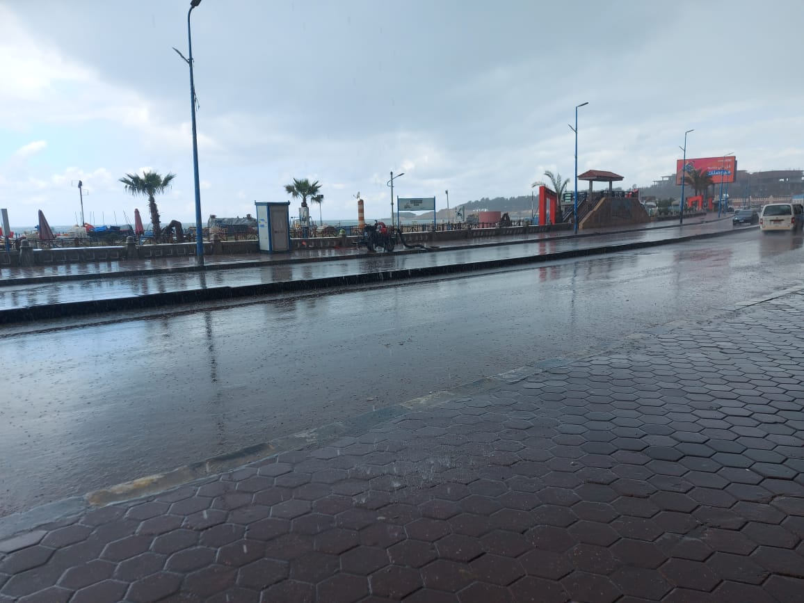 أمطار رعدية على الإسكندرية (1)