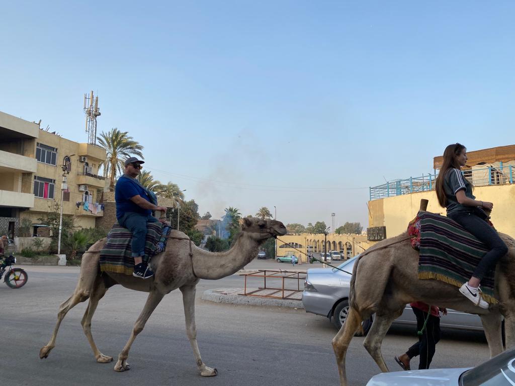 سياح العالم يستمتعون برحلة سفارى الجمال بجولات غرب الأقصر (5)