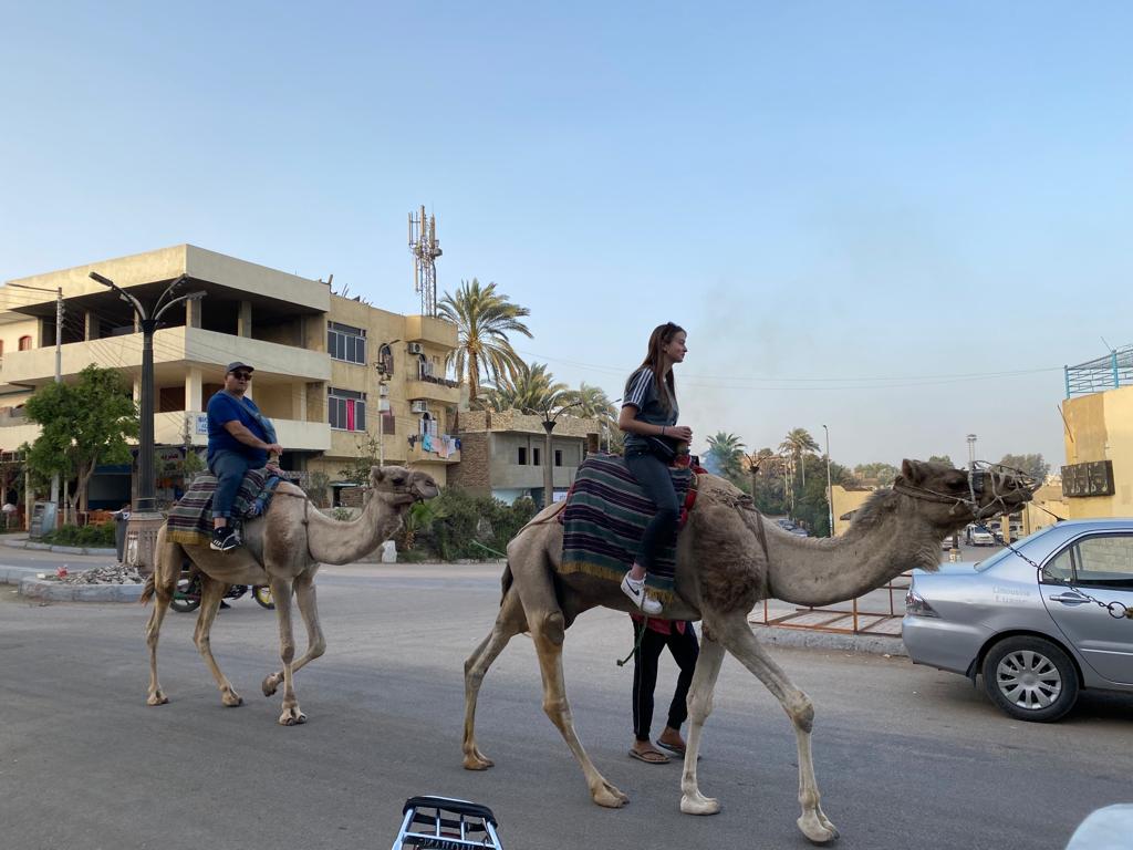 سياح العالم يستمتعون برحلة سفارى الجمال بجولات غرب الأقصر (3)