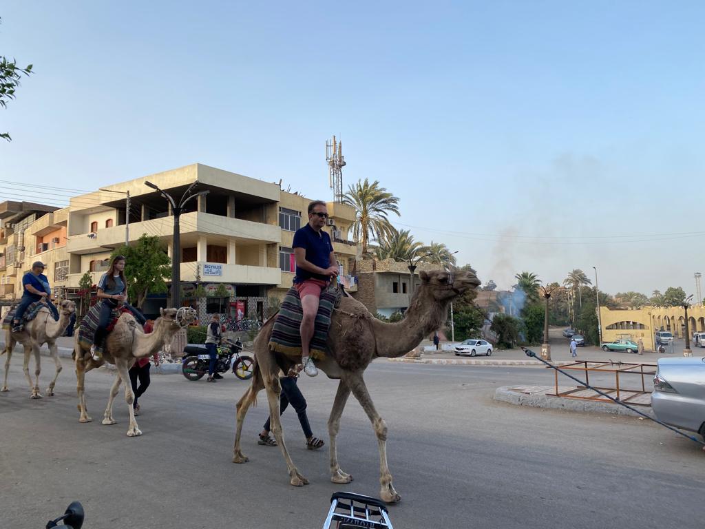 سياح العالم يستمتعون برحلة سفارى الجمال بجولات غرب الأقصر (9)