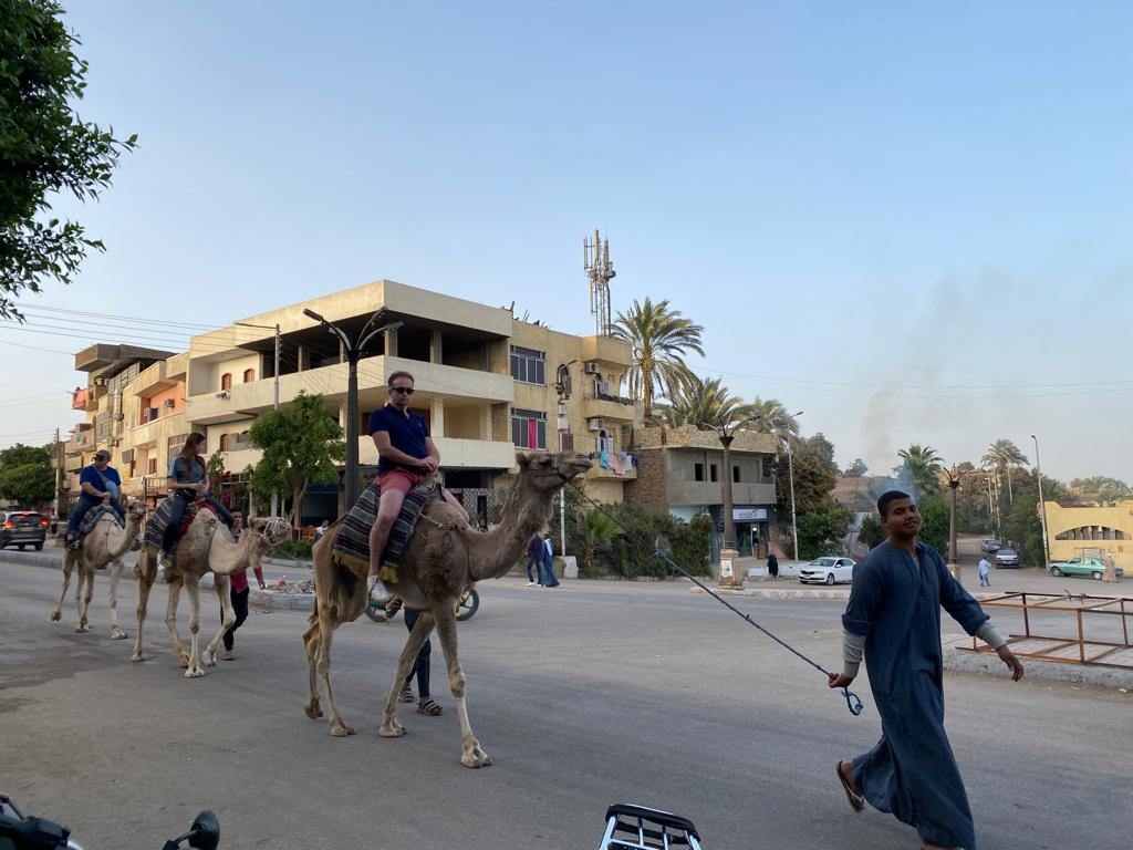 سياح العالم يستمتعون برحلة سفارى الجمال بجولات غرب الأقصر (7)