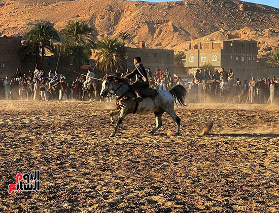 سباقات-الخيول-بفعاليات-مولد-أبو-القمصان