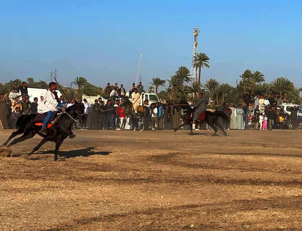 حلقات الخيالة فى مولد أبو القمصان
