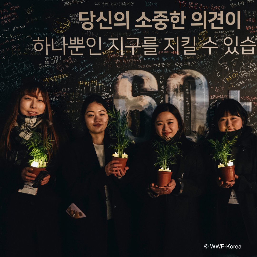 احتفال ساعة الأرض فى كوريا الجنوبية