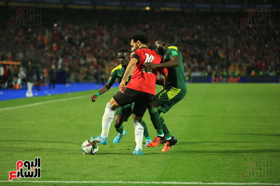 مباراة مصر والسنغال (7)