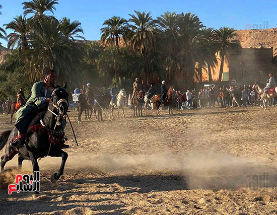 سباقات-الخيول-فى-مولد-أبو-القمصان