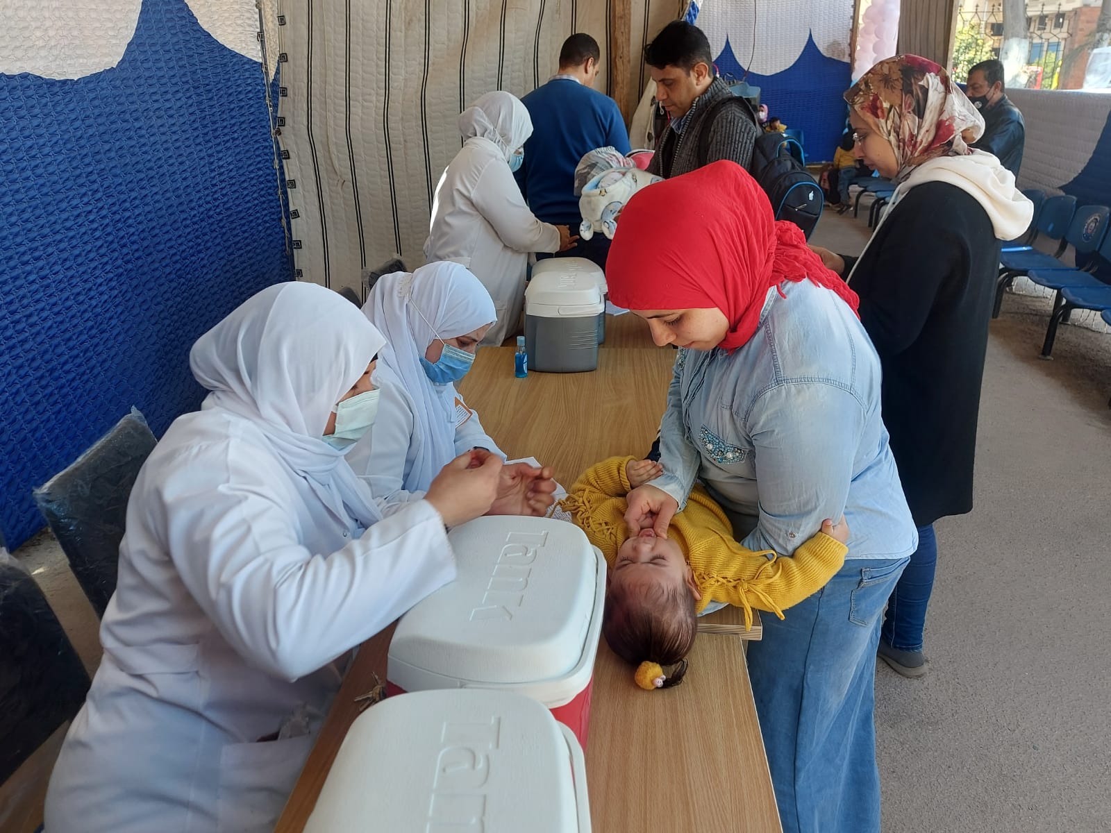 حملة التطعيم ضد مرض شلل الأطفال بالإسكندرية (5)